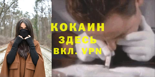 не бодяженный Богородицк