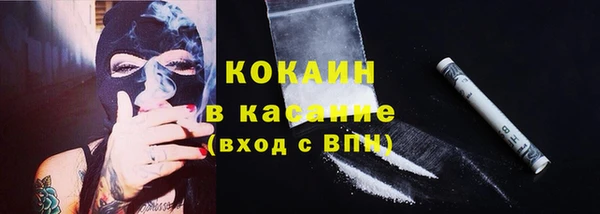 гидропоника Богданович
