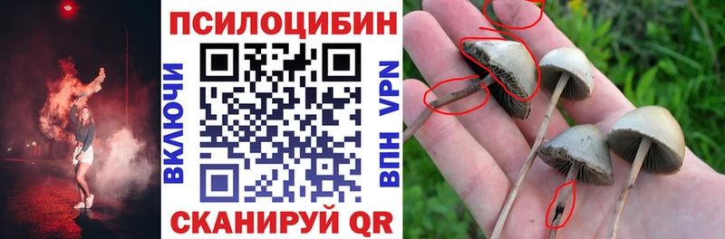 Псилоцибиновые грибы прущие грибы Нижний Ломов