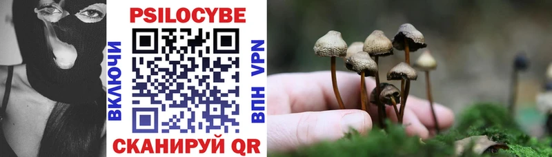 Купить  Нижний Ломов  Галлюциногенные грибы GOLDEN TEACHER 